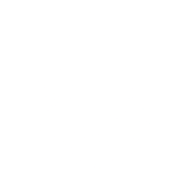 LDO logo