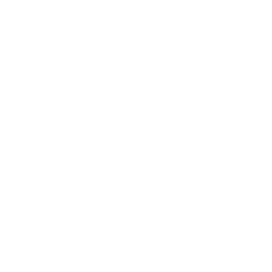 MS logo